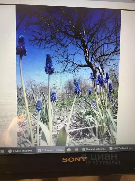 Участок в Самарская область, Волжский район, Черноречье с/пос, ... - Фото 1