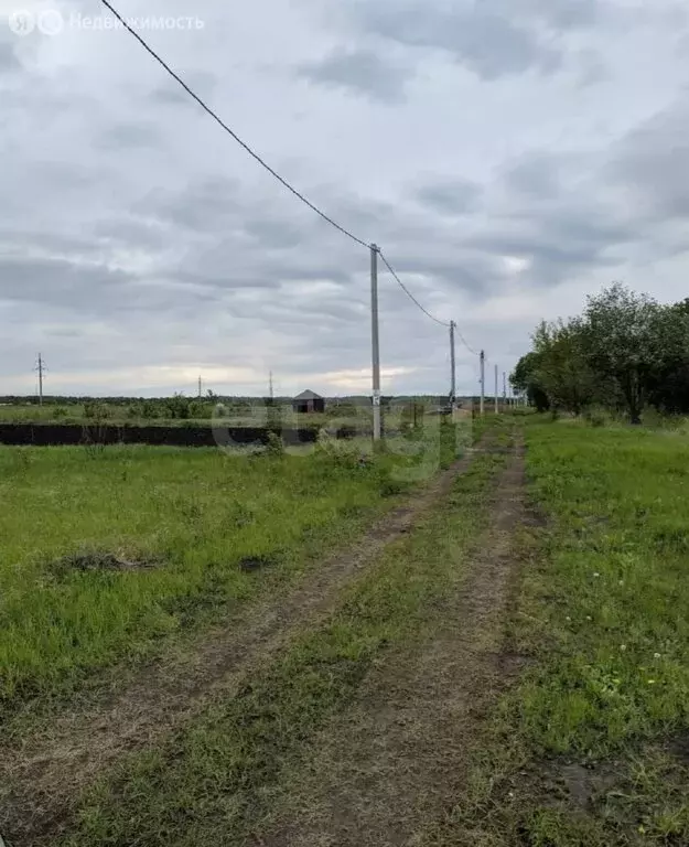 Участок в Липецкая область, Грязинский муниципальный округ, село ... - Фото 1