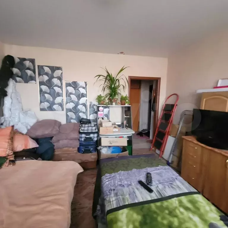 2-к. квартира, 42,8 м, 1/2 эт. - Фото 1