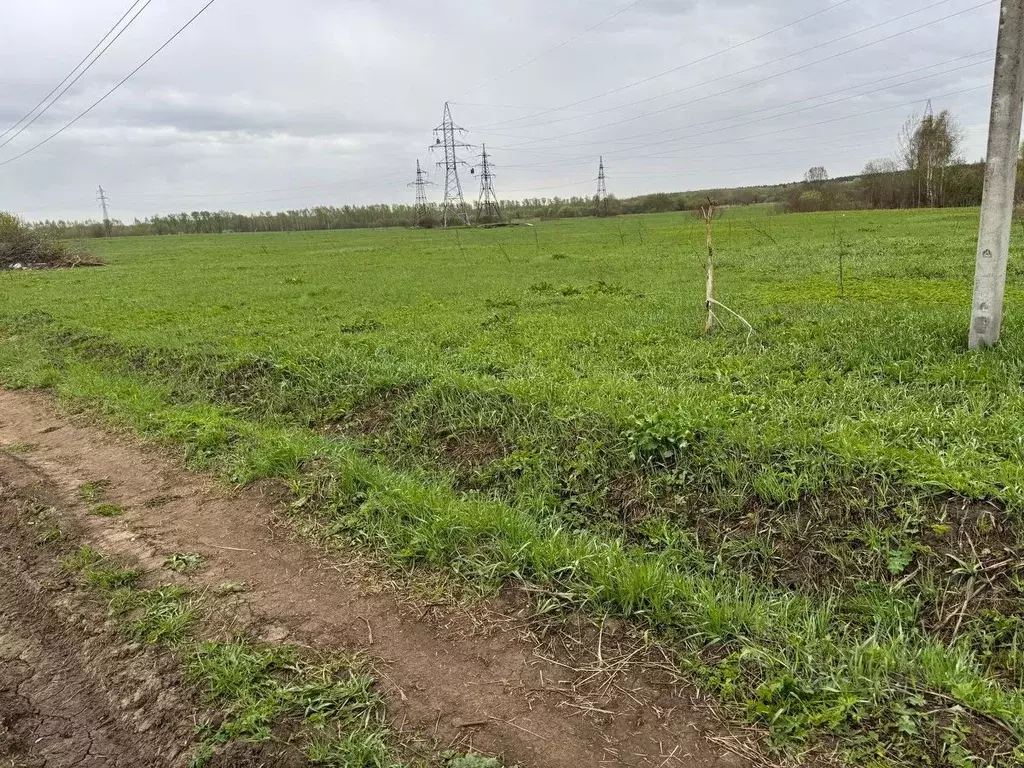 Участок в Московская область, Богородский городской округ, Электроугли ... - Фото 0