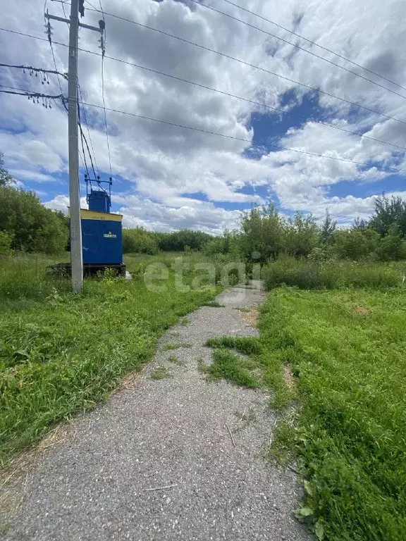 Участок в Кемеровская область, Топки  (36.5 сот.) - Фото 0