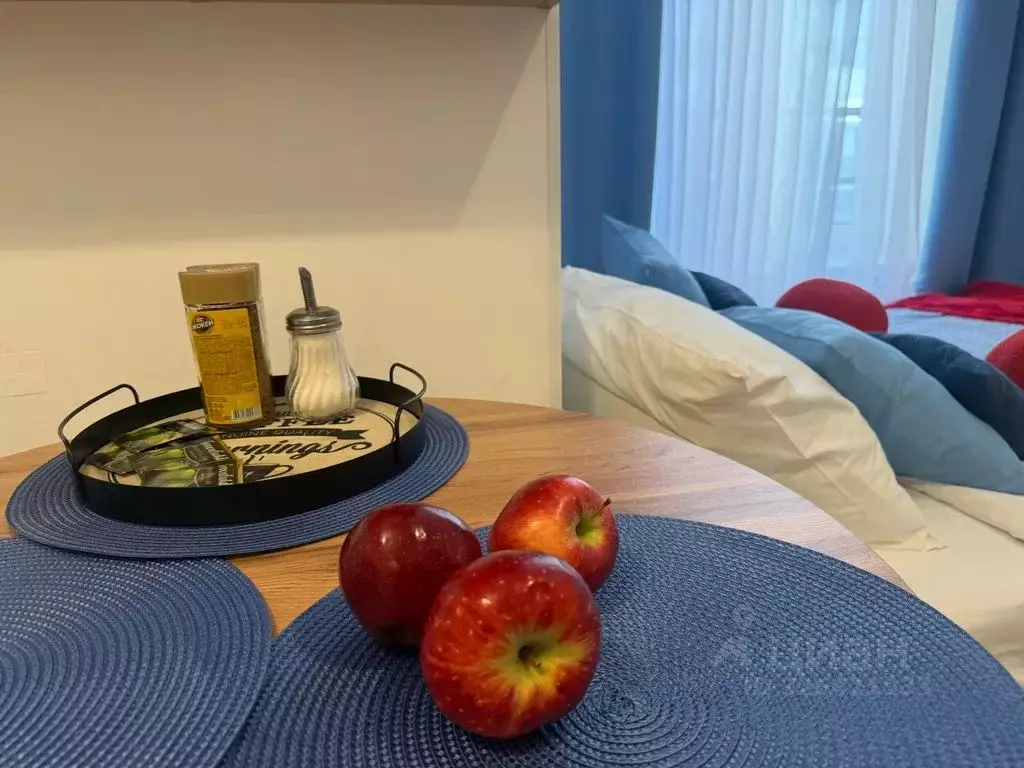 Студия Ленинградская область, Гатчина ул. Чехова, 43к1 (25.0 м) - Фото 2