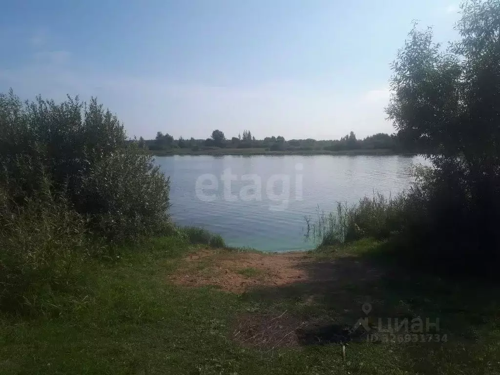 Участок в Ярославская область, Некрасовский муниципальный округ, ... - Фото 2