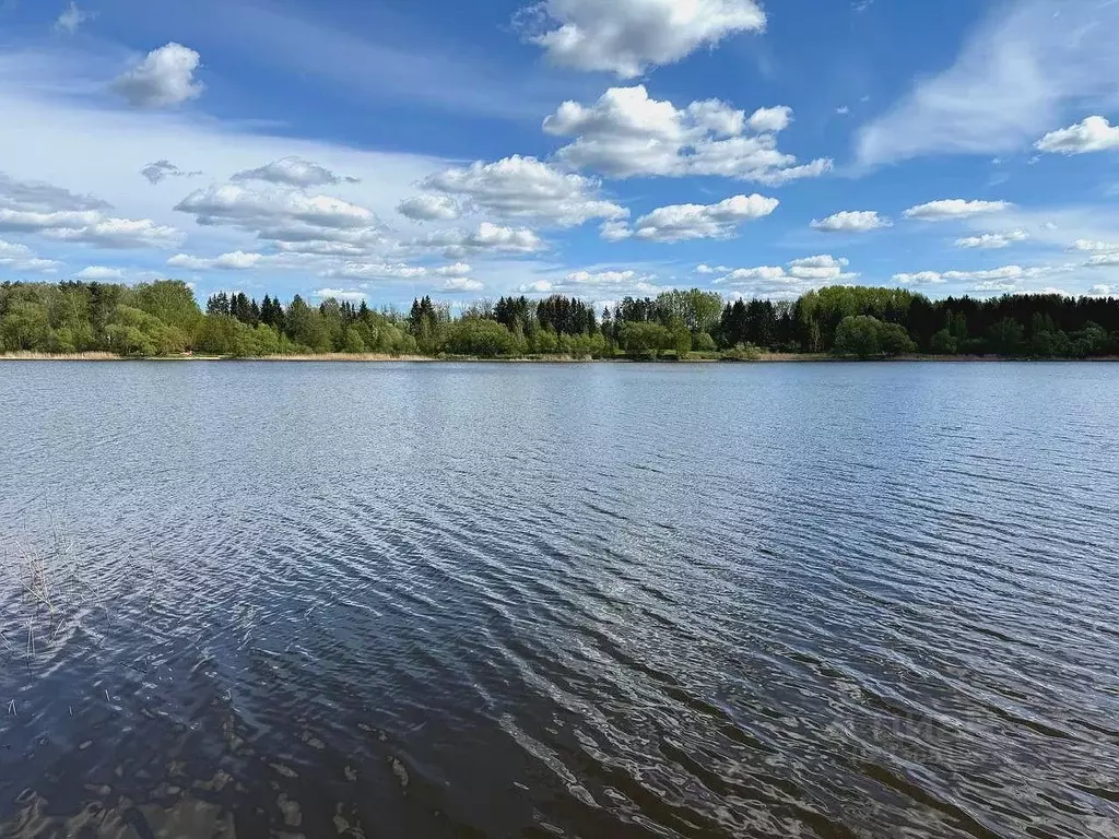 Участок в Московская область, Солнечногорск городской округ, д. ... - Фото 2