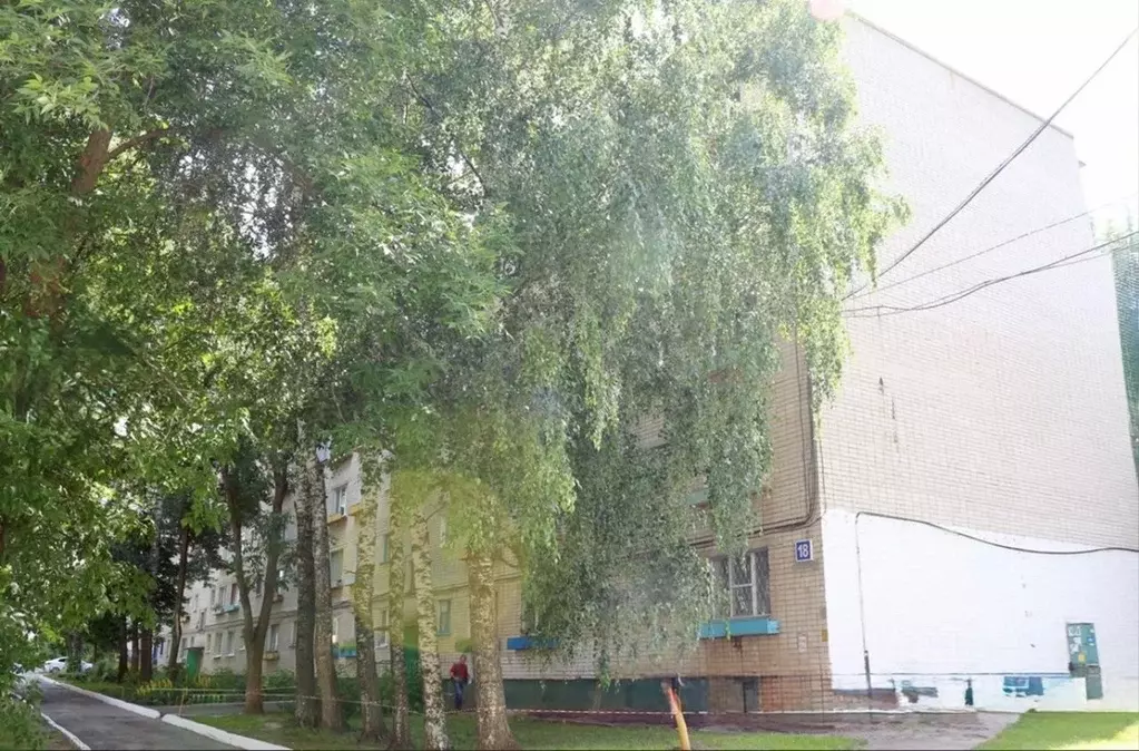 1-к кв. Чувашия, Чебоксары ул. Тимофея Кривова, 18 (31.0 м) - Фото 1