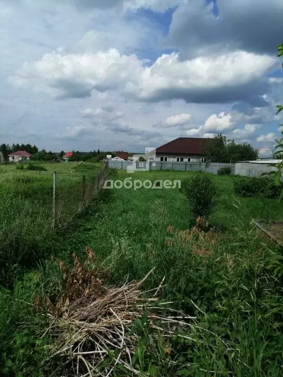 Участок в Свердловская область, Белоярский муниципальный округ, с. ... - Фото 1