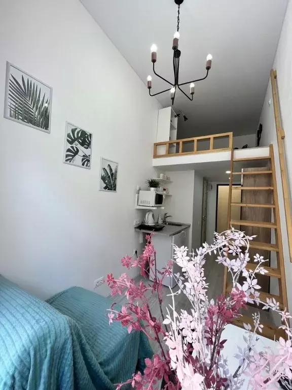 Студия Санкт-Петербург Московский просп., 42/27 (16.0 м) - Фото 1