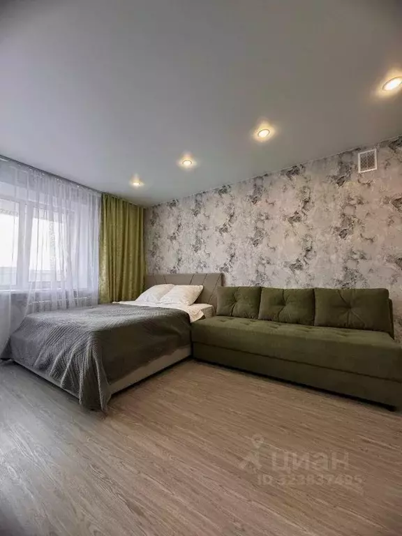 1-к кв. Амурская область, Благовещенск Загородная ул., 177 (30.0 м) - Фото 1