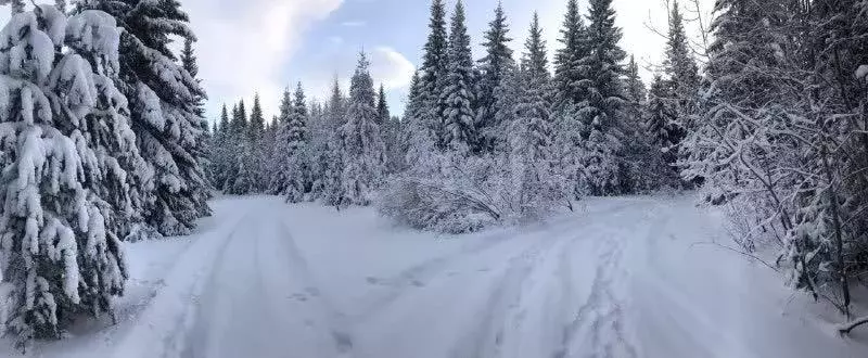 Участок, 25 сот., поселения (ижс) - Фото 1