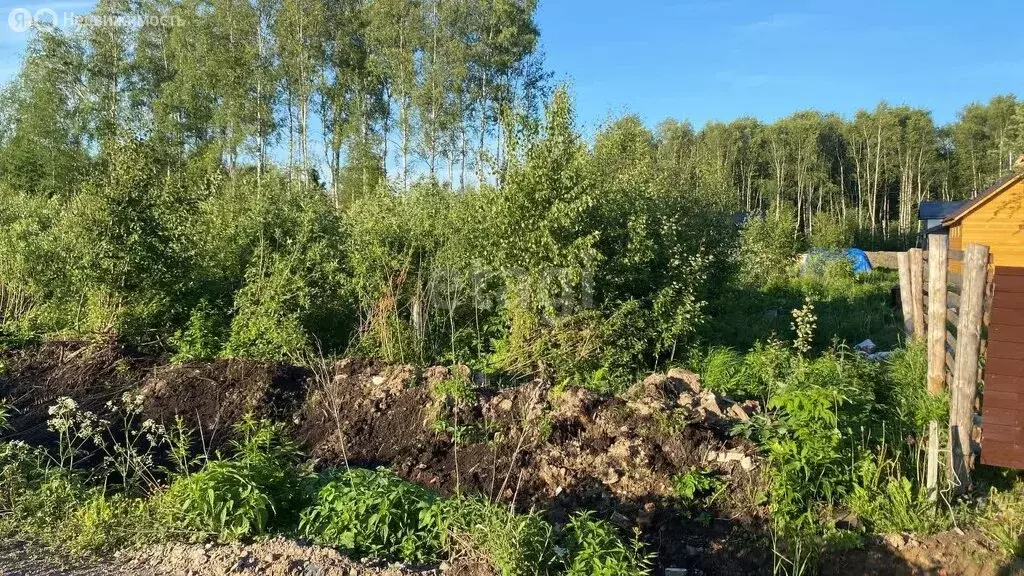 участок в большелуцкое сельское поселение, садоводческое . - Фото 0