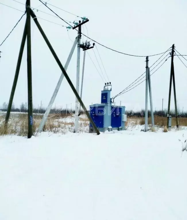 Участок в Тюменская область, Тюмень Царево садовое товарищество, ул. ... - Фото 0