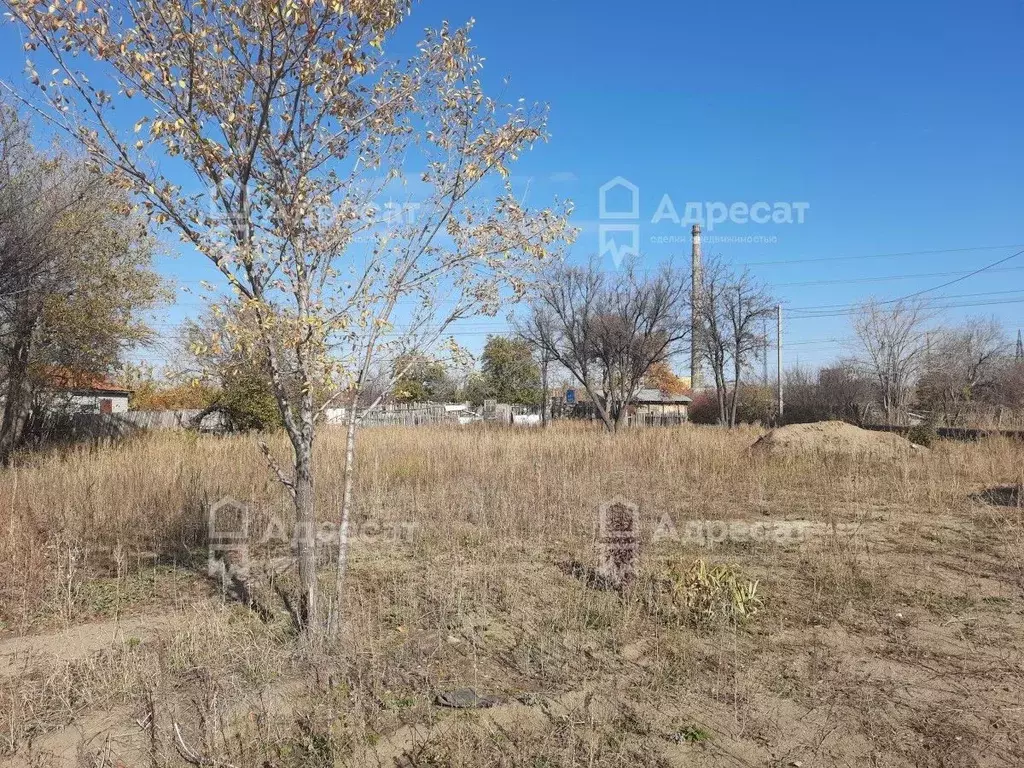 Участок в Волгоградская область, Волгоград Дзержинец СНТ, ... - Фото 1