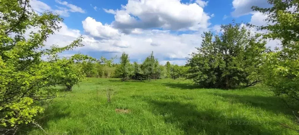 Участок в Воронежская область, Рамонский район, с. Русская Гвоздевка  ... - Фото 1