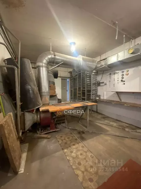 Помещение свободного назначения в Новосибирская область, Новосибирск ... - Фото 2