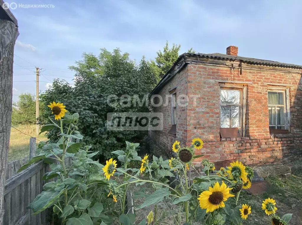 Дом в Убеженская, Красная улица, 21 (58 м) - Фото 0