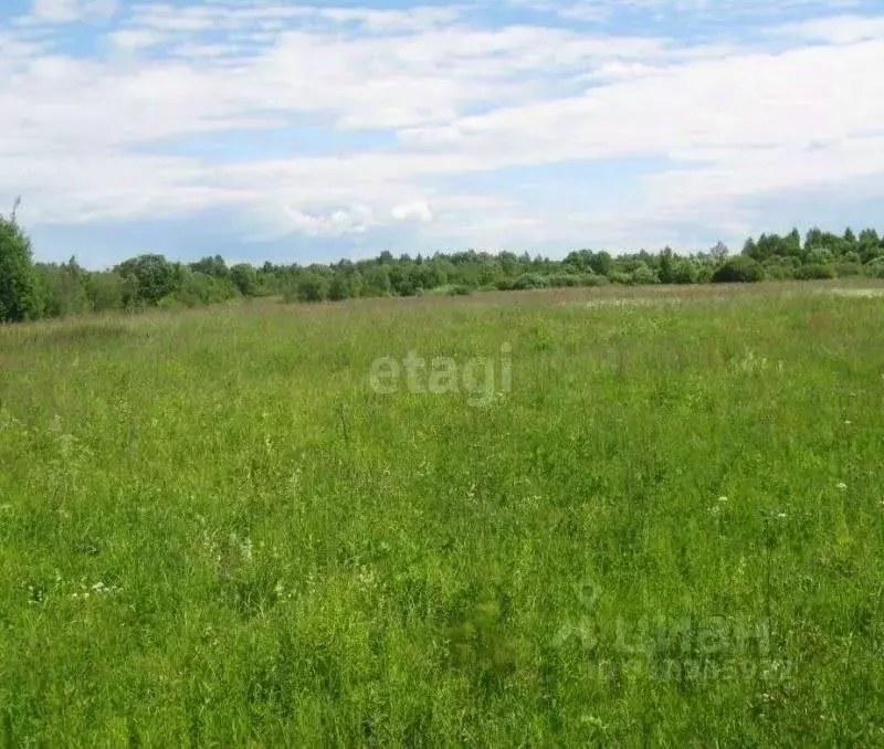 Участок в Смоленская область, Смоленский муниципальный округ, ... - Фото 1