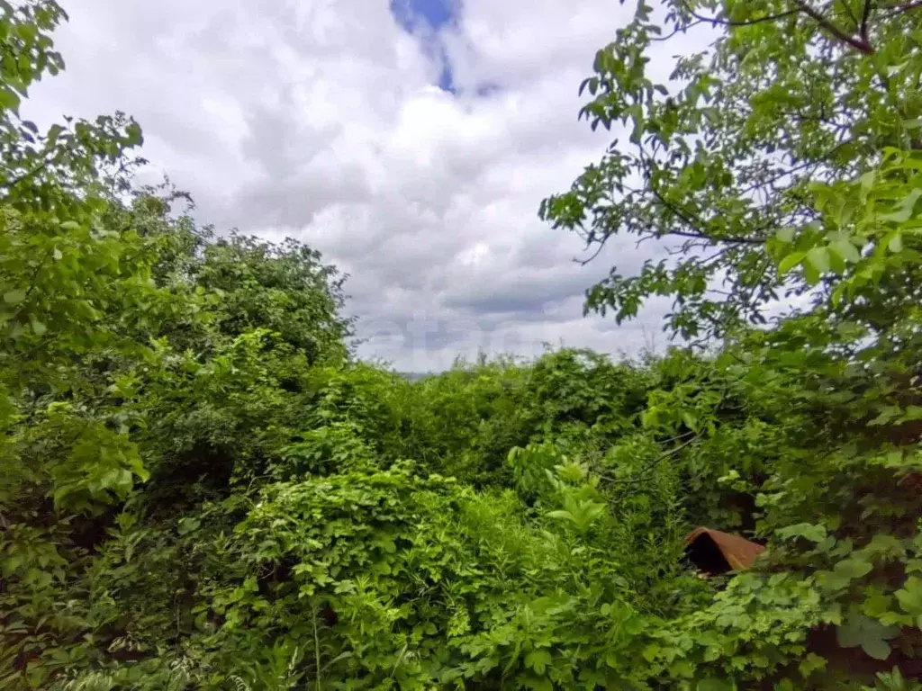 Дом в Саратовская область, Саратов Нефтяник-34 СНТ, 25 (49 м) - Фото 1