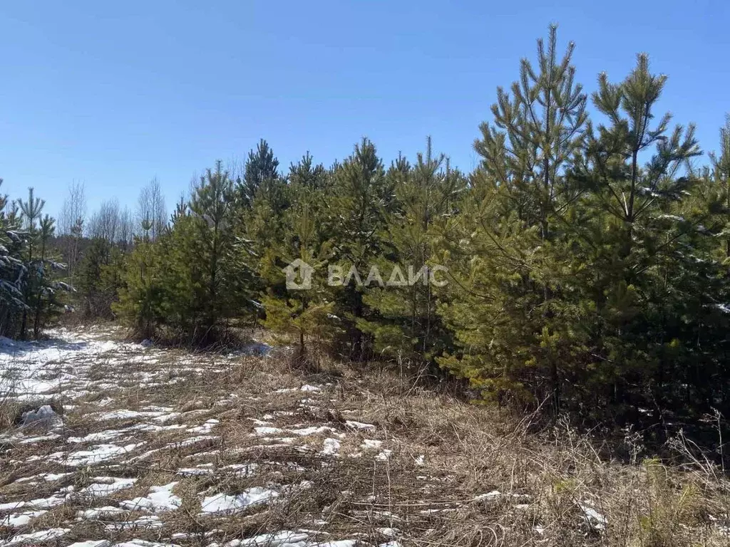 Участок в Иркутская область, Ангарск 255-й кв-л,  (10.0 сот.) - Фото 1