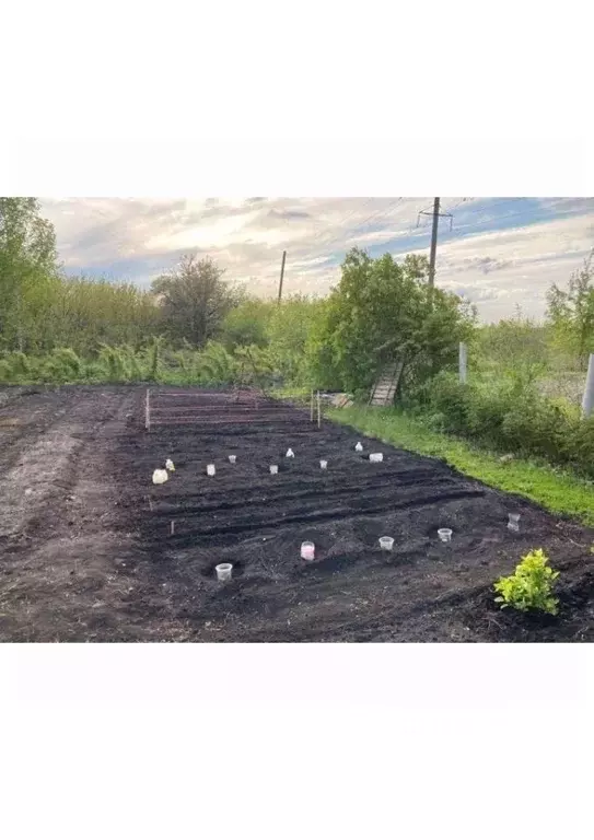 Участок в Пензенская область, Пенза Заря садоводческое товарищество,  ... - Фото 1