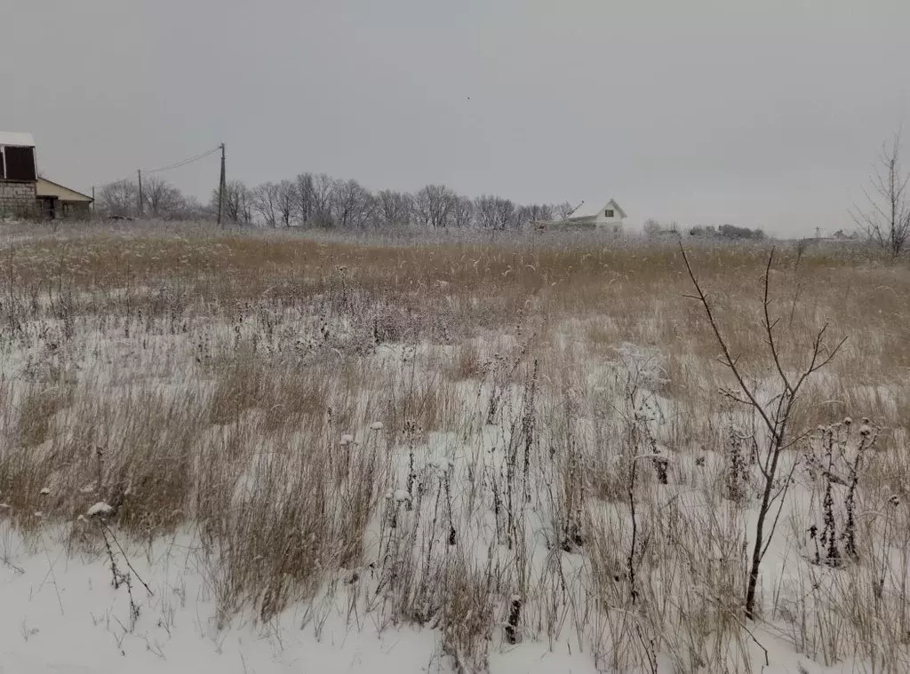 Участок в Пензенская область, Бессоновский район, с. Ухтинка  (10.0 ... - Фото 0