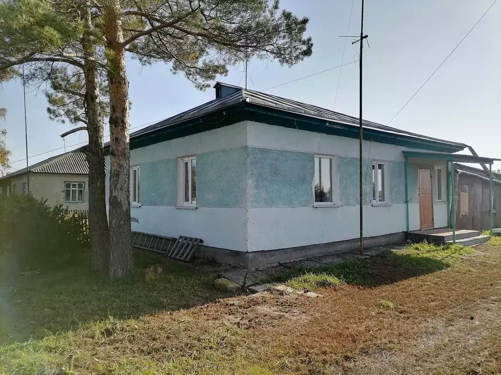 Дом в Алтайский край, с. Подсосново  (65 м) - Фото 0