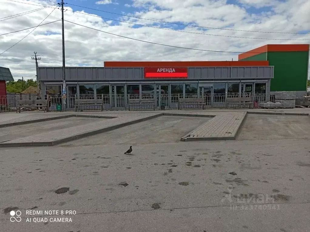Торговая площадь в Новосибирская область, Коченево рп ул. Кузнецкая, ... - Фото 1