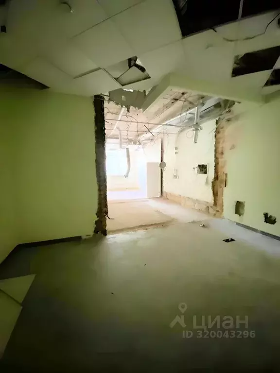 Помещение свободного назначения в Новосибирская область, Новосибирск ... - Фото 1