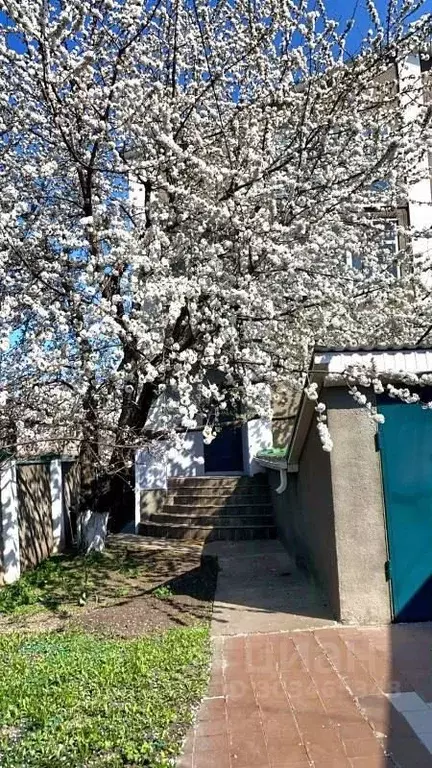 Коттедж в Воронежская область, Воронеж ул. Карпинского, 64 (259 м) - Фото 0