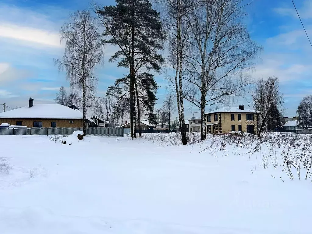 Участок в Московская область, Королев Первый кп, 53 (10.1 сот.) - Фото 2