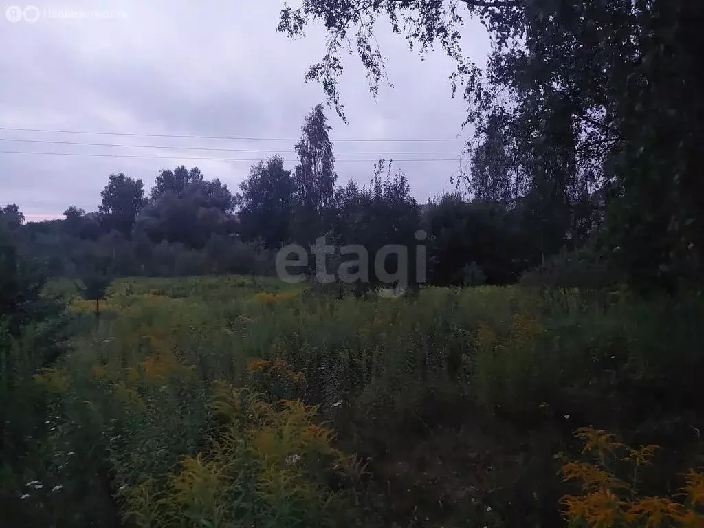 Участок в Толмачево, СДТ Русь (5 м) - Фото 1