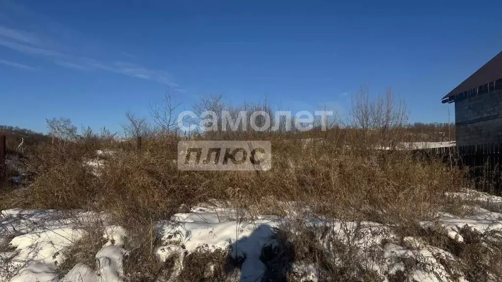 Участок в Амурская область, Благовещенский район, Звезда СТ  (9.0 ... - Фото 2