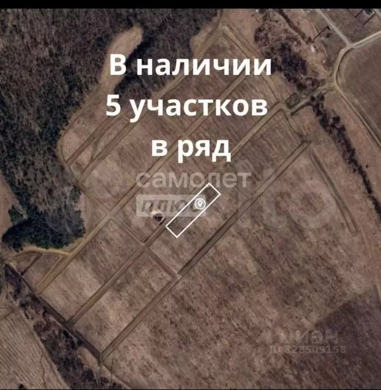 Участок в Иркутская область, Иркутский муниципальный округ, с. Мамоны  ... - Фото 1