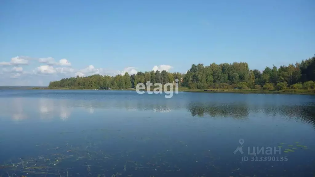 Участок в Ленинградская область, Всеволожский район, Куйвозовское ... - Фото 0