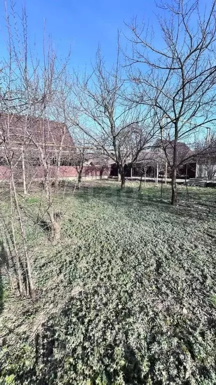 Дом в Адыгея, Майкопский район, пос. Тульский ул. Гагарина (58 м) - Фото 1