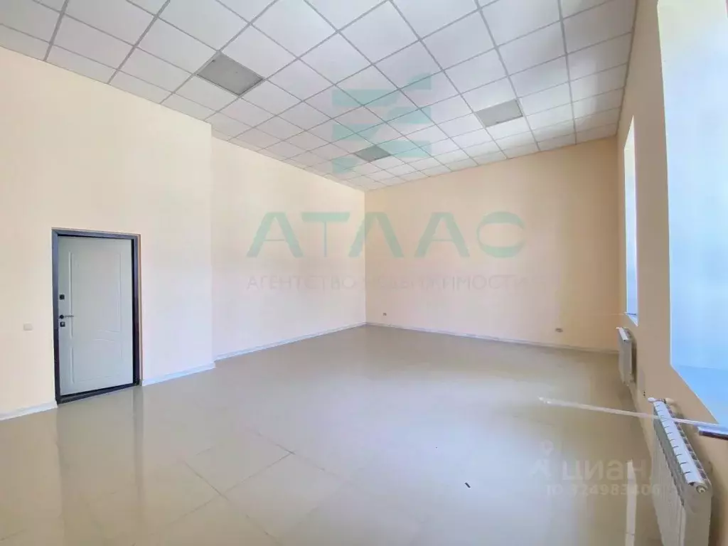 Помещение свободного назначения в Крым, Симферополь ул. Пушкина, 17 ... - Фото 2