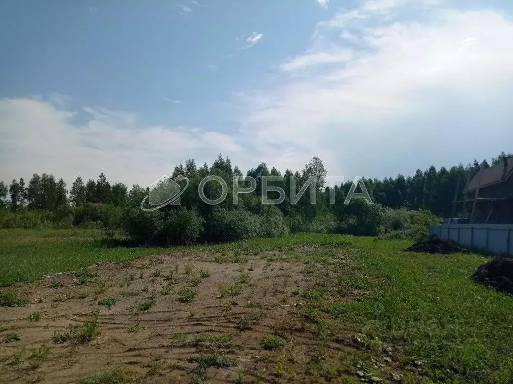 Участок в Тюменская область, Тюмень Садовое товарищество Липовый ... - Фото 1