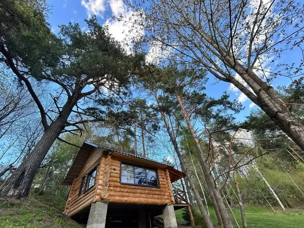 Дом в Псковская область, Печорский муниципальный округ, д. Тайлово 59 ... - Фото 1