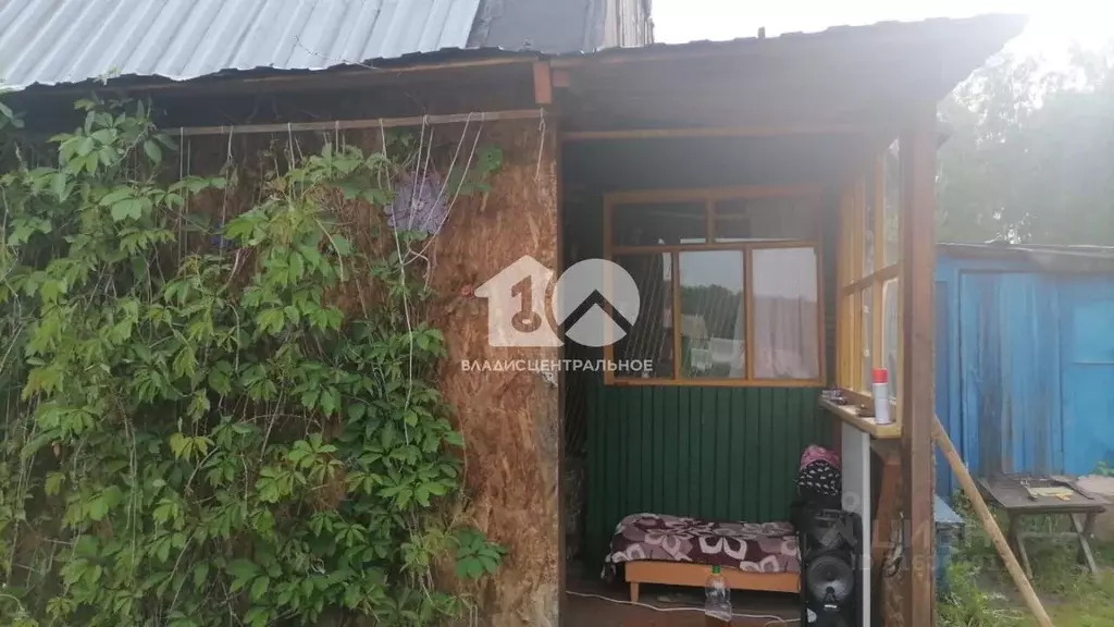Участок в Новосибирская область, Мошковский район, Озерки СНТ ул. ... - Фото 0