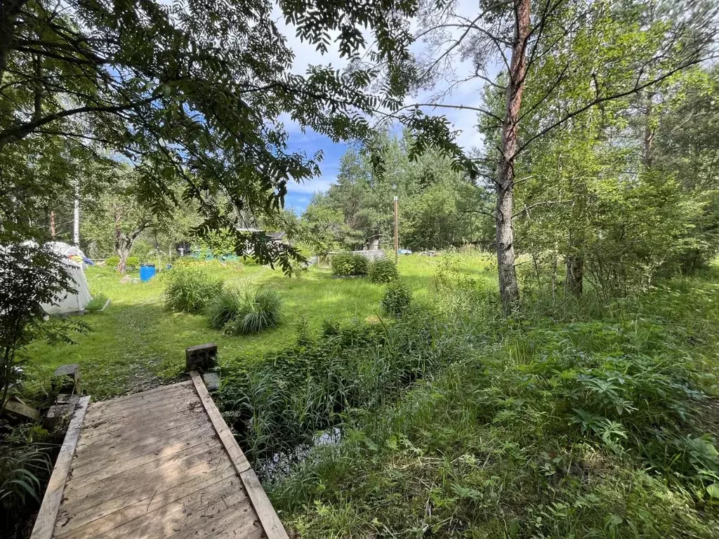 Дом в Ленинградская область, Лужский район, Мшинское с/пос, Сказка СНТ ... - Фото 2
