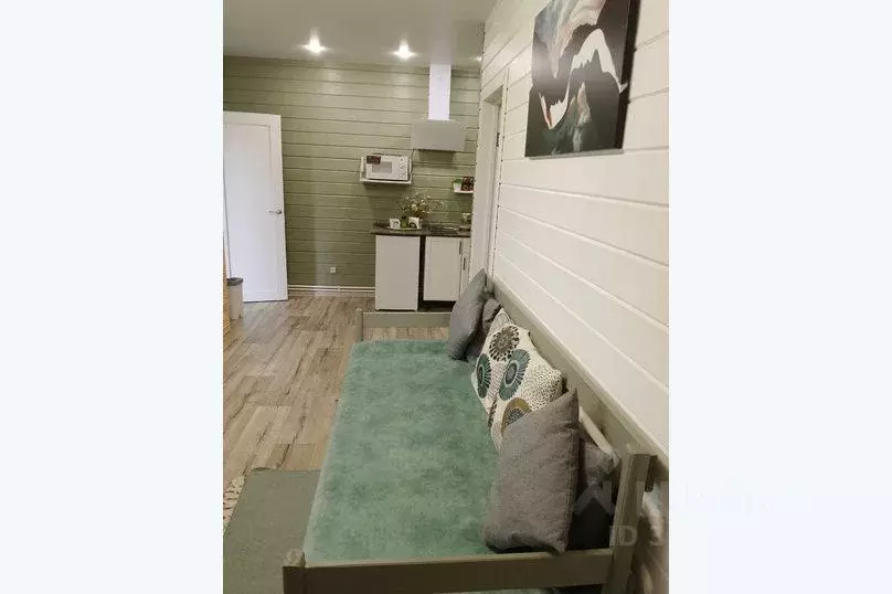 Дом в Нижегородская область, Дивеевский муниципальный округ, д. Маевка ... - Фото 2