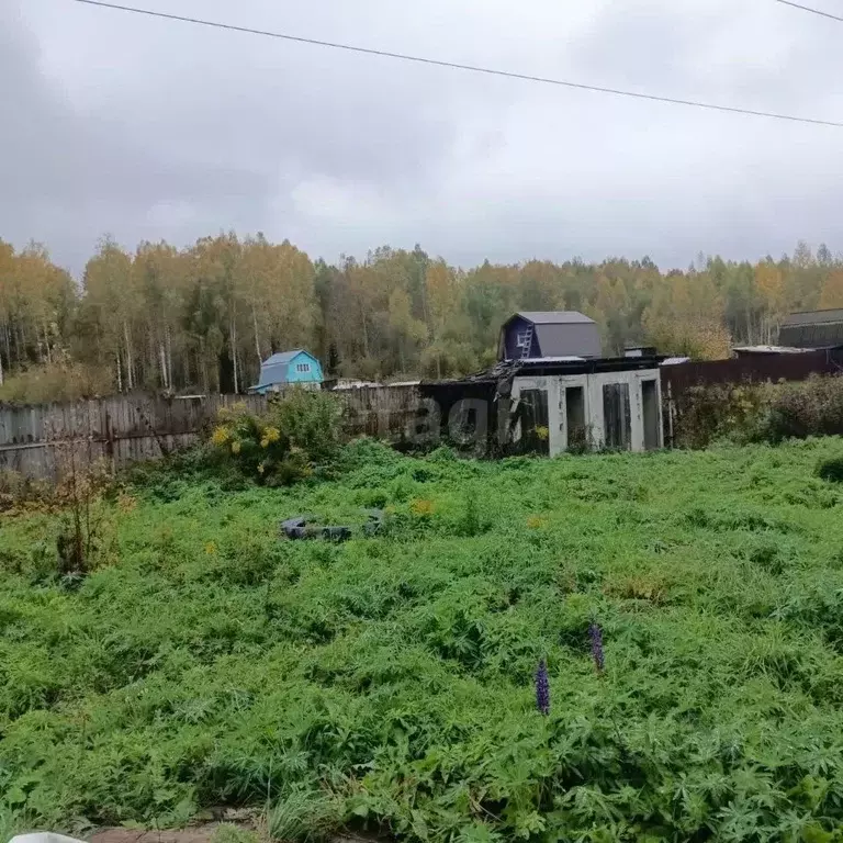 Дом в Кировская область, Киров Малинка (Перв) СДТ, ул. Центральная (40 ... - Фото 2
