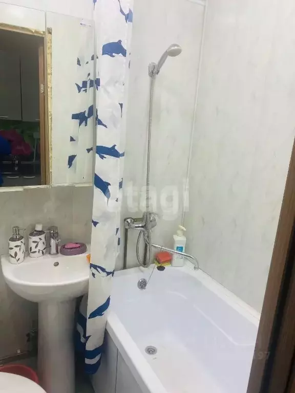 Студия Кемеровская область, Кемерово ул. Попова, 5 (22.5 м) - Фото 1