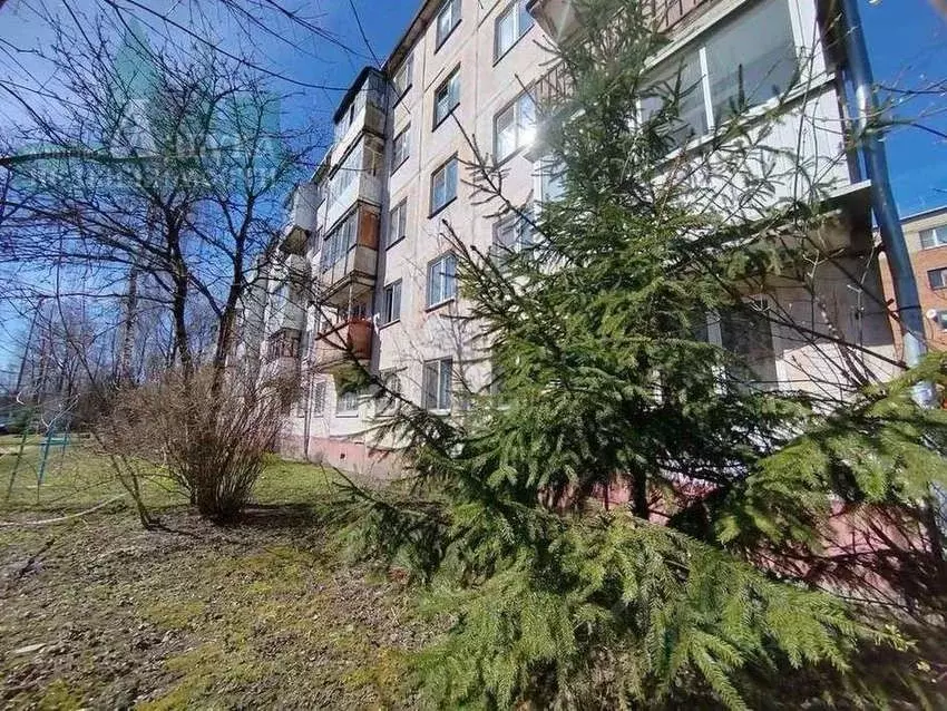 3-к кв. Смоленская область, Смоленск ул. Попова, 16 (59.5 м) - Фото 0