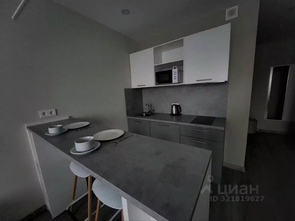 1-к кв. Санкт-Петербург Витебский просп., 99к1 (28.0 м) - Фото 2