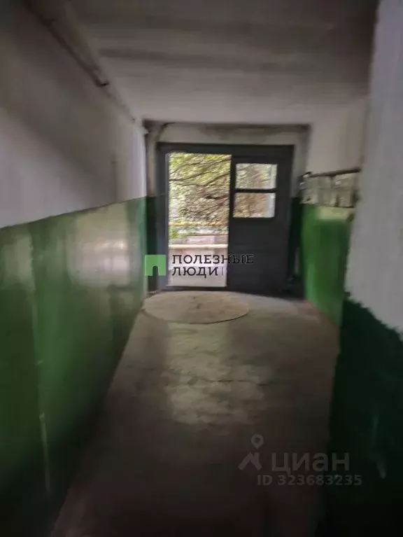 2-к кв. Крым, Ялта муниципальный округ, Гаспра пгт ул. Горького, 14 ... - Фото 2