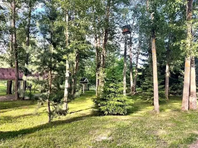 Участок в Московская область, Ступино городской округ, Михнево пгт  ... - Фото 1