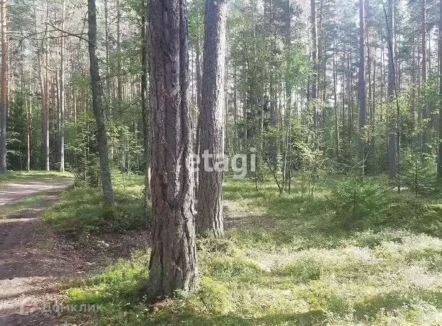 Участок в Забайкальский край, Читинский район, Атамановка пгт ул. ... - Фото 0