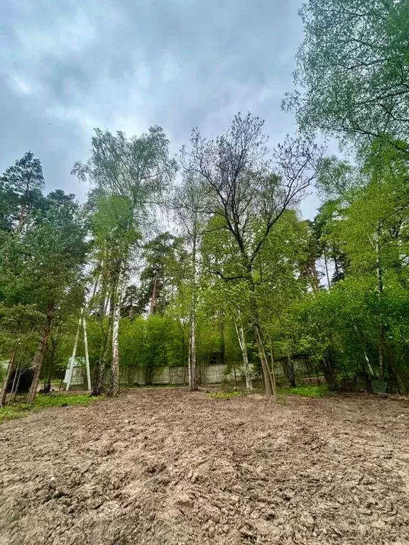 Участок в Московская область, Одинцовский городской округ, Серебряные ... - Фото 0