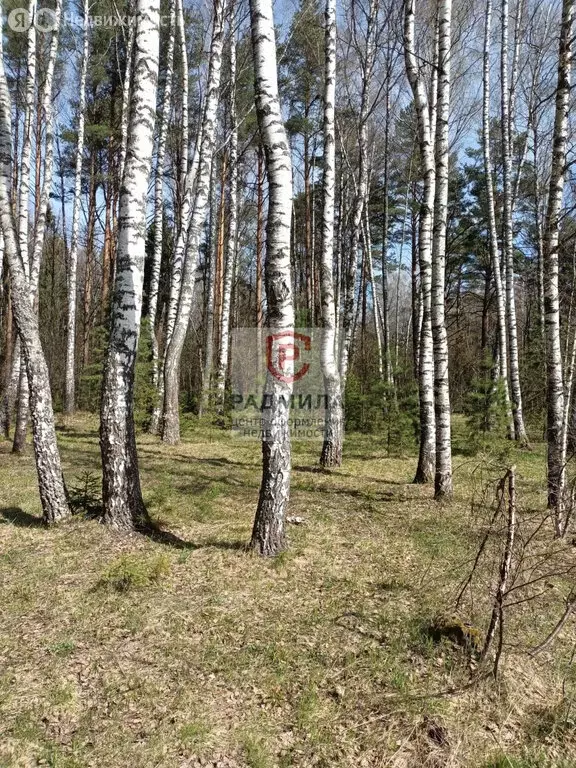 Участок в Сергиево-Посадский городской округ, деревня Торгашино (15 м) - Фото 1