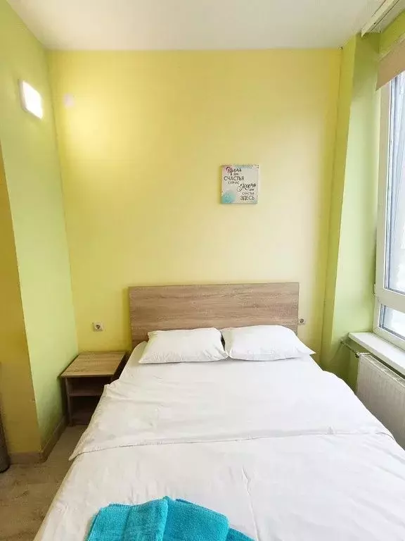 1-к кв. Нижегородская область, Нижний Новгород ул. Максима Горького, ... - Фото 1